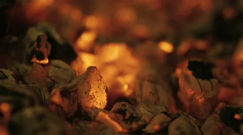Live coals. Stock Footage 51660929