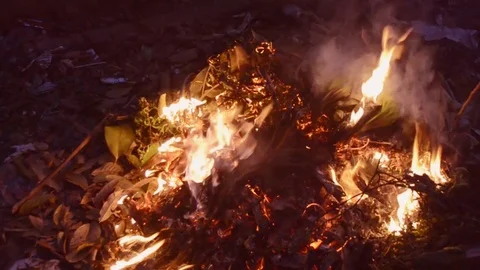 Live coals Stock Footage 126029206