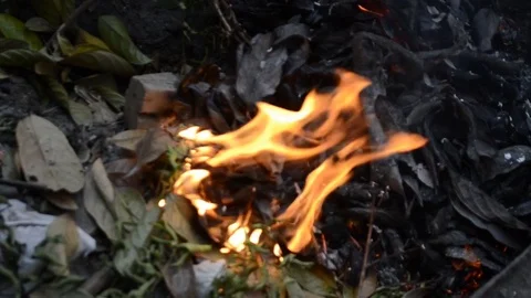 Live coals Stock Footage 126029695