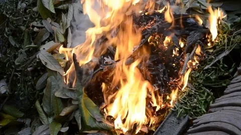 Live coals Stock Footage 126029813