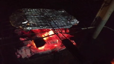 Live coals Stock Footage 282497994