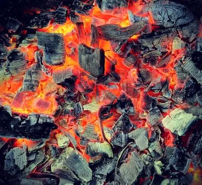 Live coals Stock Photos