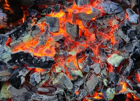 Live coals Stock Photos