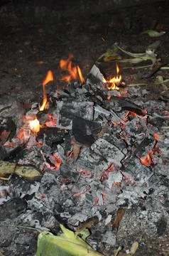 LIVE COALS Fotos de archivo