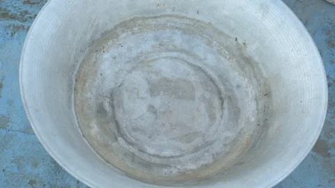 Live crayfish caught in the river are poured into the wash basin before cooki Stock Footage 93293519