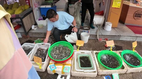 Live Eels and Seafood Displayed at a Shanghai Street Market 스톡 동영상 340176746