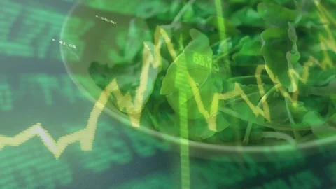 Live finance feed animating graph and tickers over bowl of greens, peaking, Stock Footage 333019231