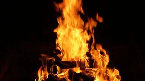 Live fire on a black background, burning firewood. Stock Footage 162272733