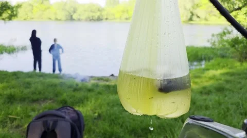 Live fish captured in clear plastic bag with water close up, in background two Video stock 341658061