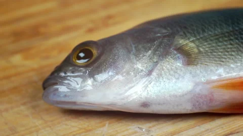 Live fish on a cutting board. Stock Footage 153312587
