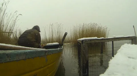 Live fish Stock Footage 35921837