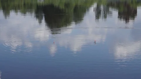 Live fish roach lying on the ground . Stock Footage 94110913
