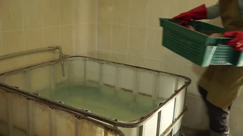 Live fish thrown away from the box Stock Footage 85024116