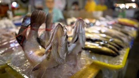 Live fish tied from head to tail displayed for sale at Kaohsiung seafood market Stock Footage 310672882