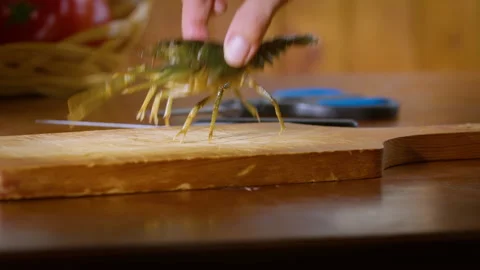 Live food before cooking in the kitchen. Stock Footage 204362829