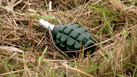 A live grenade lies in the grass. The Russian-Ukrainian war. Mined area Stock Footage 221144959