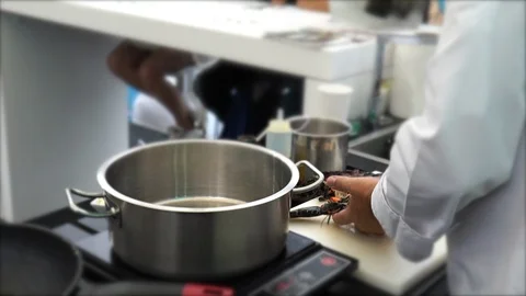 Live Lobster Being Cooked. Stock Footage 102845357