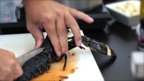 Live Lobster Being Cooked. Stock Footage 102845380