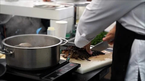 Live Lobster Being Cooked. Stock Footage 102845409