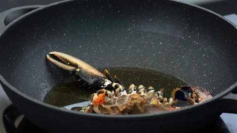 Live Lobster Being Cooked. Stock Footage 102845414