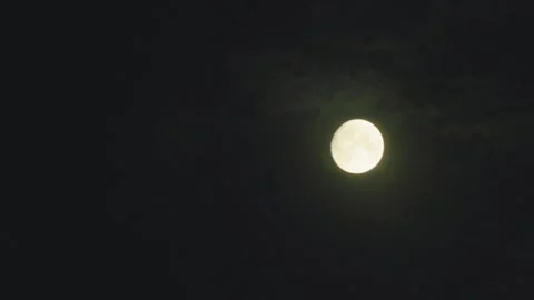 Live moon time-lapse Stock Footage 257907928