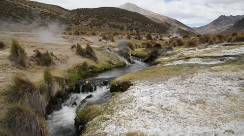 Live nature Stock Footage 61531497