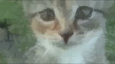 Live Painting. Cat Looking In Camera 스톡 동영상 57237329