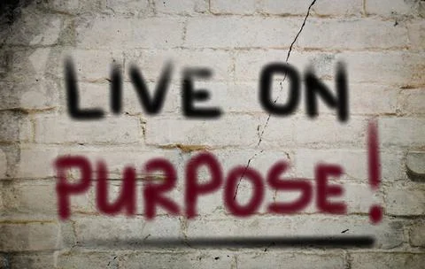 Live On Purpose Concept Live On Purpose Concept Copyright: xZoonar.com/Kra... Stock Photos