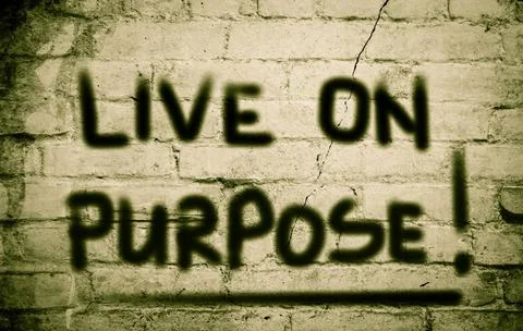 Live On Purpose Concept Live On Purpose Concept Copyright: xZoonar.com/Kra... Stock Photos