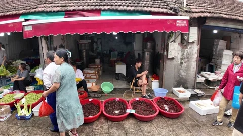Live Seafood Display Draws Shoppers at Shanghai Street Market Stock Footage 340176728