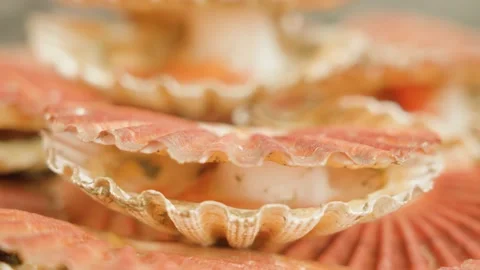 Live shellfish opens and closes shell lying in pile on table Vídeos de archivo 166319688