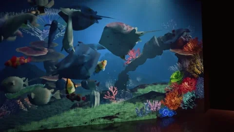 Live Sketchbook Coral Reef Process 6 Vidéo 328847010