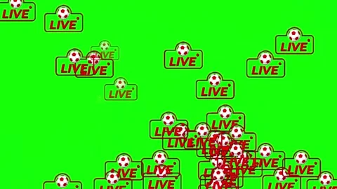 Live Soccer Broadcast Indicator Flashing on Green Screen Video stock 340441351