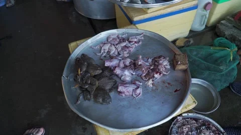 Live toads without heads and skins jump on a tray at a fish market in Vietnam 스톡 동영상 311585381