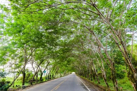 Live tunnel Stock Photos