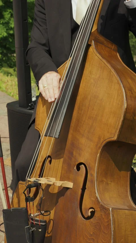 Live Upright Bass Performance at Elegant Wedding in Soft Natural Light Stock Footage 313633619
