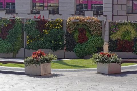Live wall plants Stock Photos