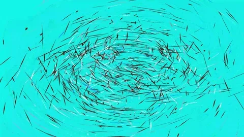 Live Wallpaper. Stock Footage 328441986