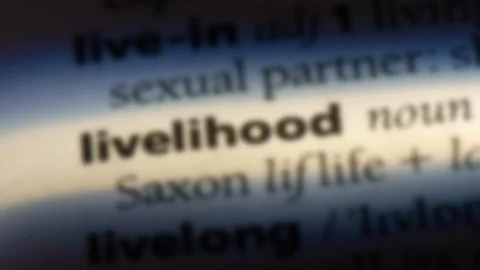 Livelihood word in a dictionary. Stock Footage 99562777