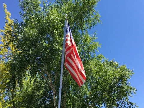 Lively American Flag Stock Footage 76248005