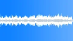 Lively bar/cafe/restaurantSound Effect