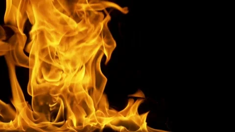 Lively Dancing Flames Against a Dark Backdrop: The Art of Fire Vídeo Stock 341920279