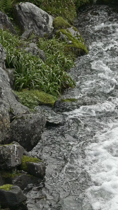 A lively mountain stream, frothy and effervescent, flows rapidly Vidéo 255229068