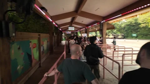 Lively Queue at Guangzhou Safari Park Entrance in China Video stock 324892984