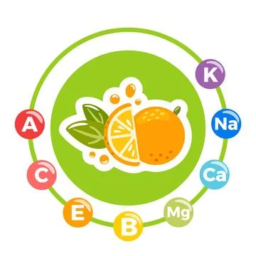 A lively vector illustration featuring a bright orange, showcasing its juicy 스톡 일러스트