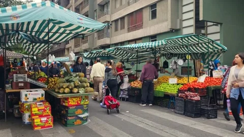 Lively weekly fruit and vegetable market in the center of Santiago, with Stock Footage 336034536