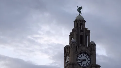 Liver Bird and clock face Stock Footage 115054228