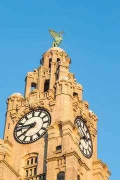 Liver Bird looking out of the River Mersey Stock Photos