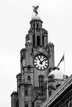 Liver Building Stock Photos
