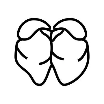 Liver chicken line icon vector illustration Stock Illustration